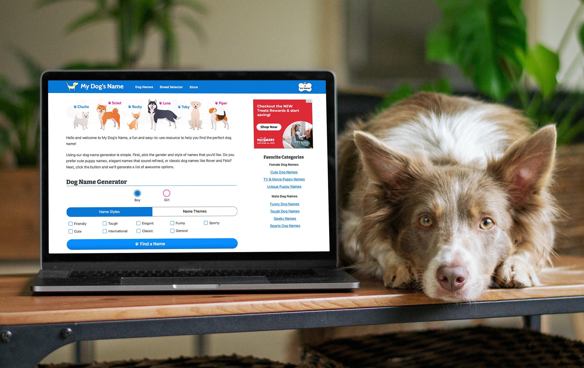 my dogs name site